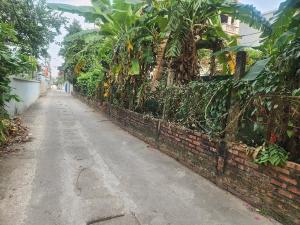 Bán đất Nam Hồng 86,5m oto vào đất được
