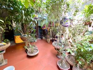 LẠC LONG QUÂN - CỰC HIẾM BIỆT THỰ LIỀN KỀ 110M GIÁ 24 TỶ - 10M OTO - GẦN PHỐ - AN SINH VIP