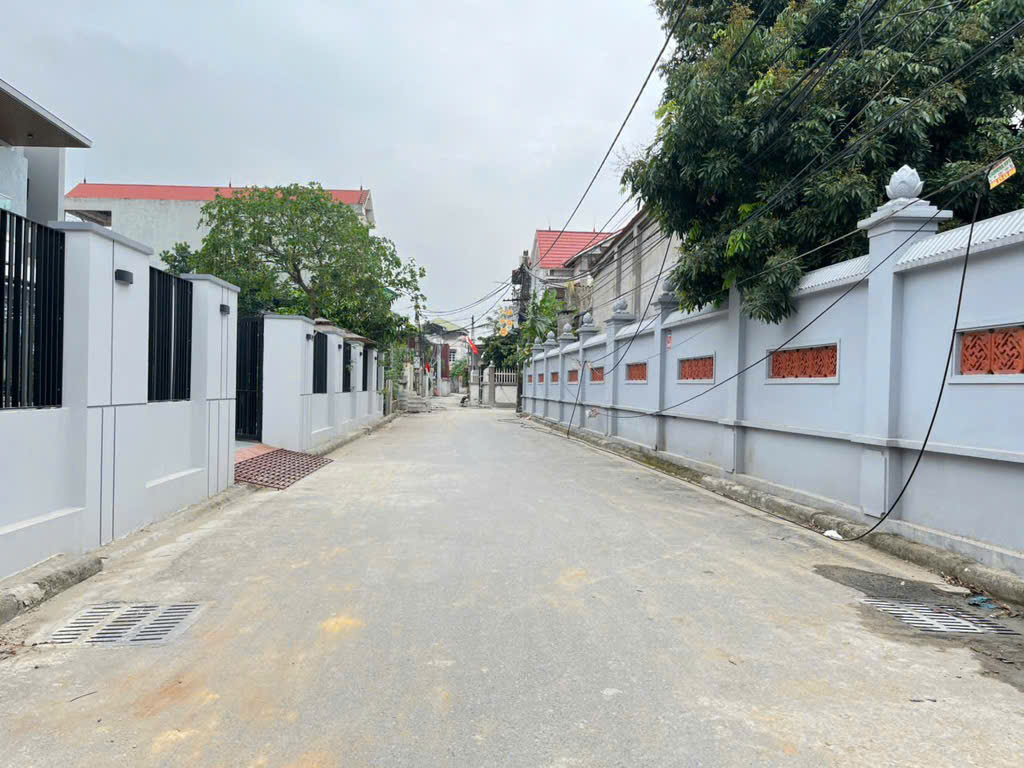Cần bán gấp mảnh đất 97m2 tại Bắc Hồng, Đông Anh, Hà Nội.