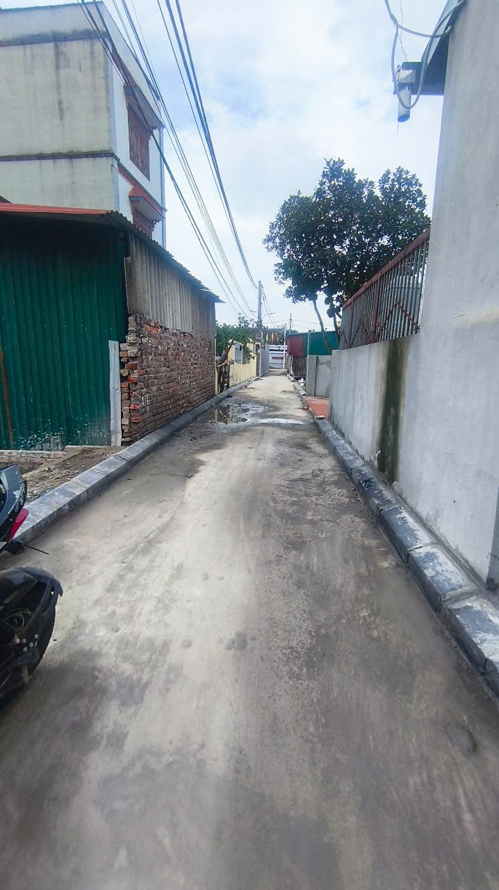 Cần bán gấp mảnh đất 97m2 tại Bắc Hồng, Đông Anh, Hà Nội.