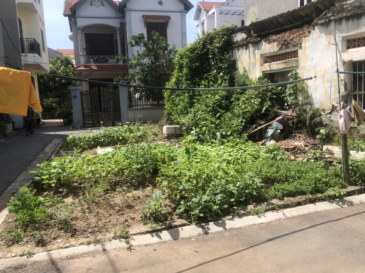 ✨ ĐÓN ĐẦU ĐẠI DỰ ÁN VINSAFARI (ĐA TỐN) – CÓ 1 KHÔNG 2 ✨
 Diện tích 50m²  Giá 3,9 tỷ – Tầm tiền