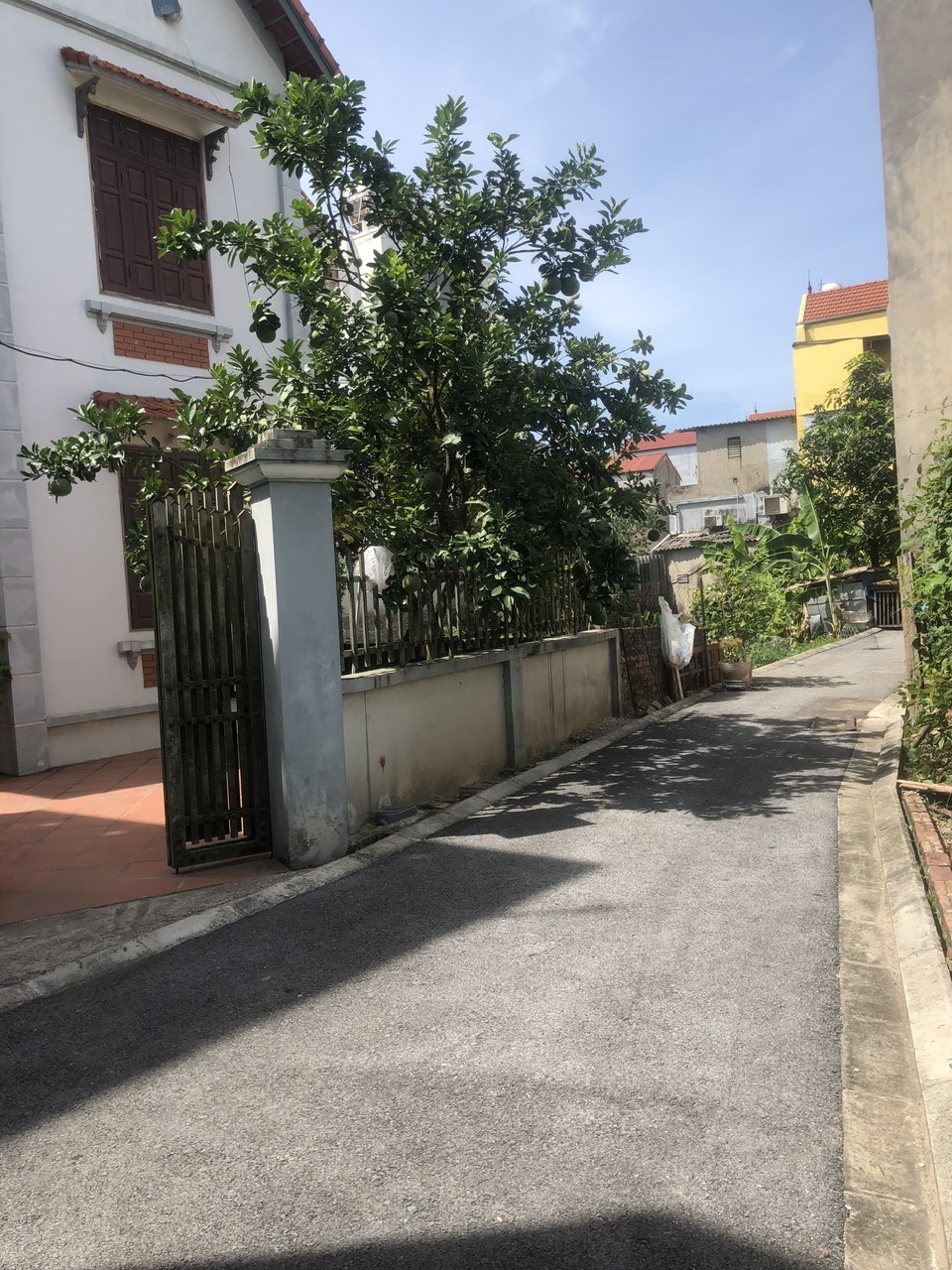✨ ĐÓN ĐẦU ĐẠI DỰ ÁN VINSAFARI (ĐA TỐN) – CÓ 1 KHÔNG 2 ✨
 Diện tích 50m²  Giá 3,9 tỷ – Tầm tiền