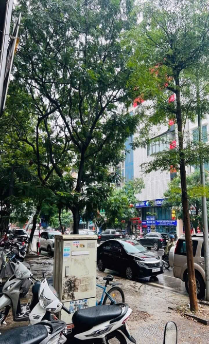 Nhà đẹp 4 tầng - 43m2 mặt phố Trần Quốc Hoàn - Cầu Giấy