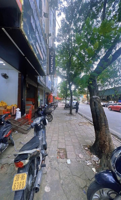 nhà đẹp 6 tấng - 45m2, mặt phố Trần Quốc Hoàn - Cầu Giấy