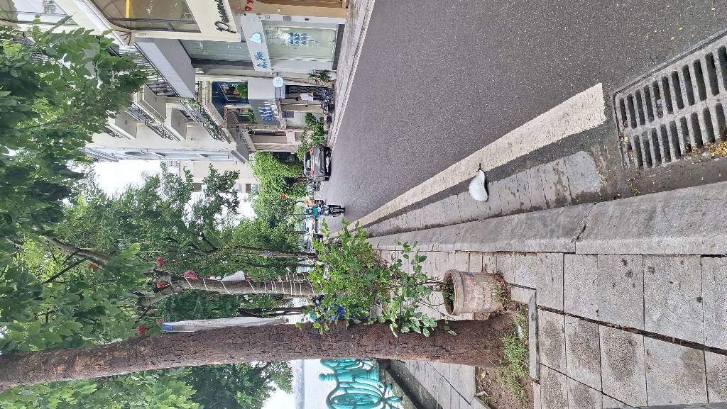 Nhà đẹp mặt phố Hồ Tây, 98 tỷ, 2 MẶT TIỀN - 1MẶT PHỐ - 1 MẶT NGÕ