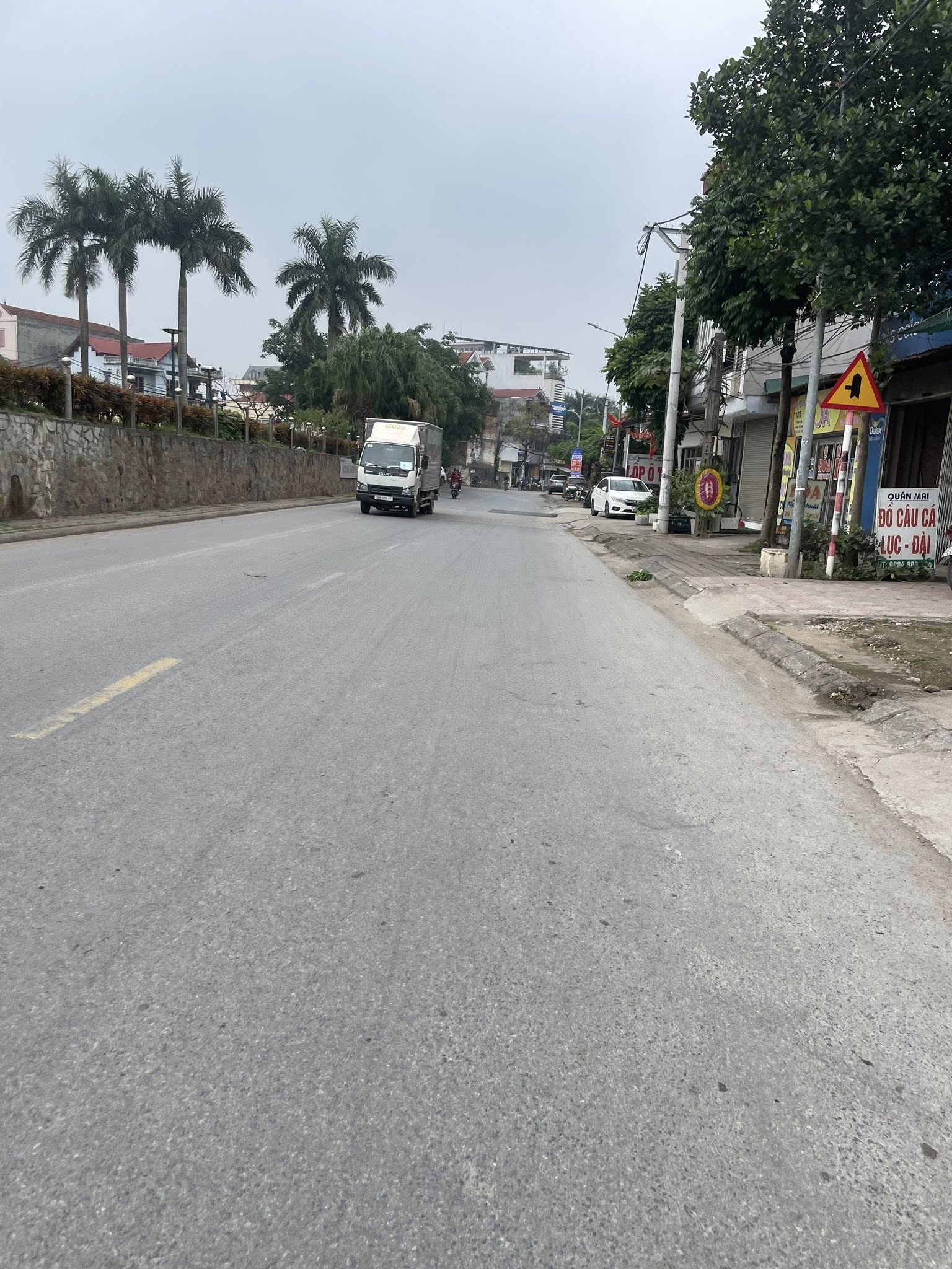 110 m2 mặt phố Nguyễn Thái Học, Phùng, Đan Phượng, Hà Nội 12,5 tỷ