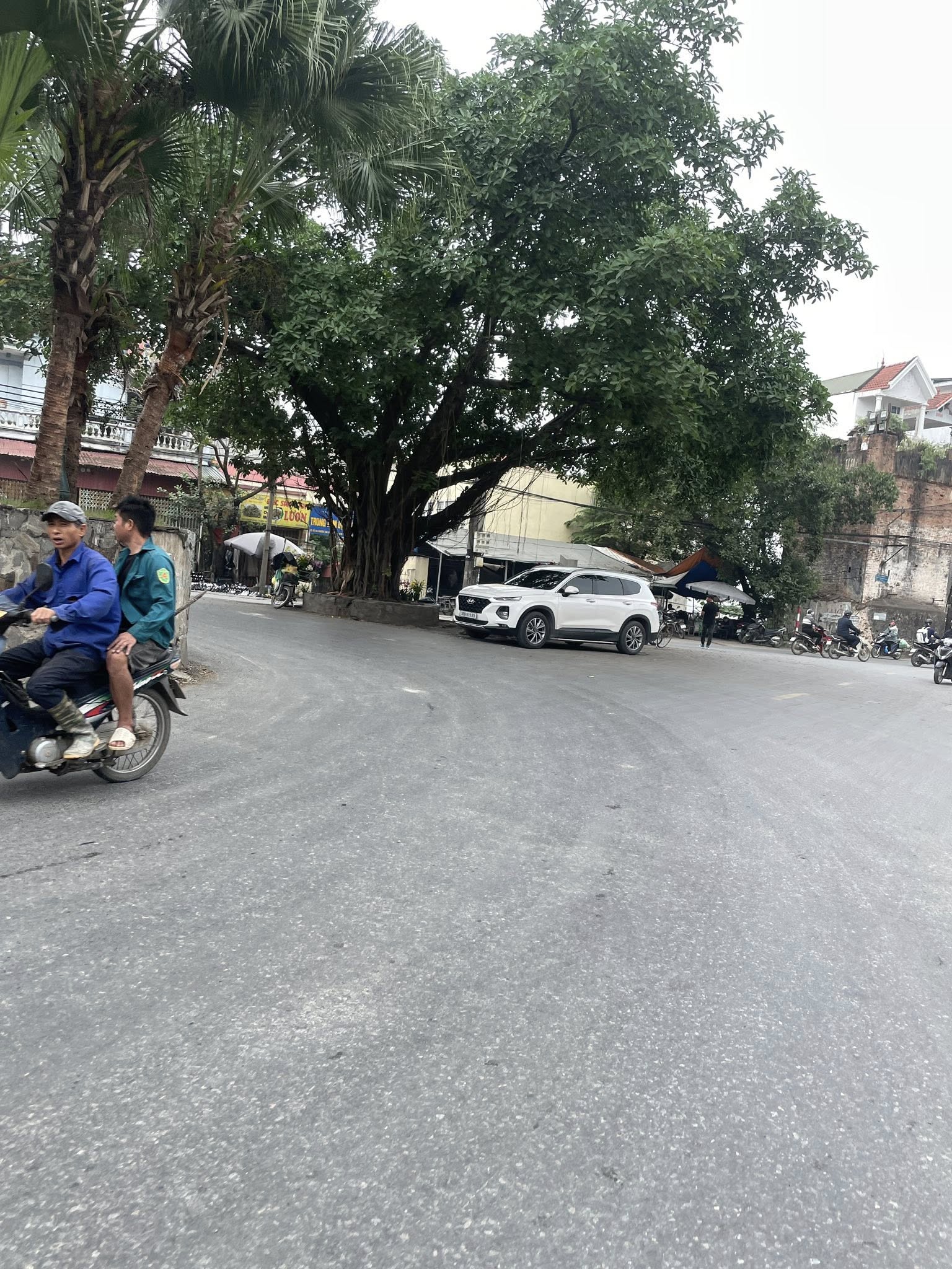 110 m2 mặt phố Nguyễn Thái Học, Phùng, Đan Phượng, Hà Nội 12,5 tỷ