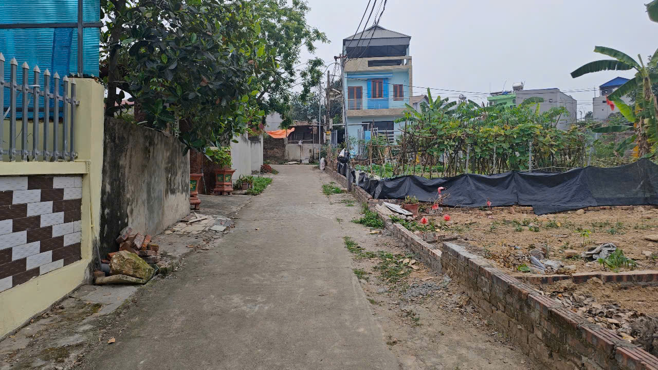 Bán Đất NỘI BÀI Nam Cương Giá 19 Diện tích 107m Đất Vuông nở hậu, ngõ thông bán tải 7 Chỗ
