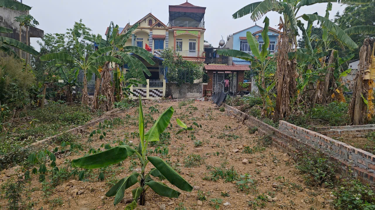 Bán Đất Nam Cương Nội Bài Giá 19 Diện tích 107m Đất Vuông nở hậu, ngõ thông bán tải 7 Chỗ