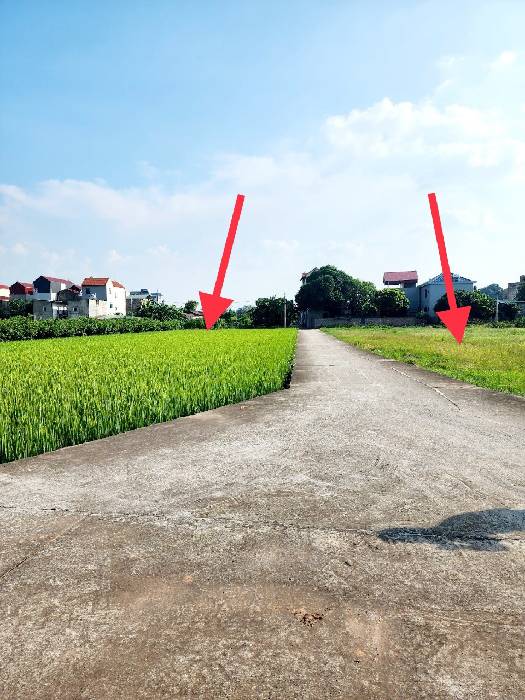 Bán đất Thôn Kim Hồ, Lệ Chi, Gia Lâm. Gần trường ĐHCN may. 1518m2, Giá 2.1tỷ.