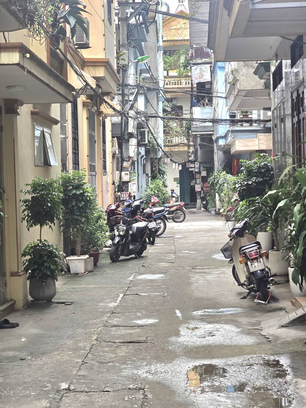 SIÊU PHẨM PHÂN LÔ - Ô TÔ - LÔ GÓC