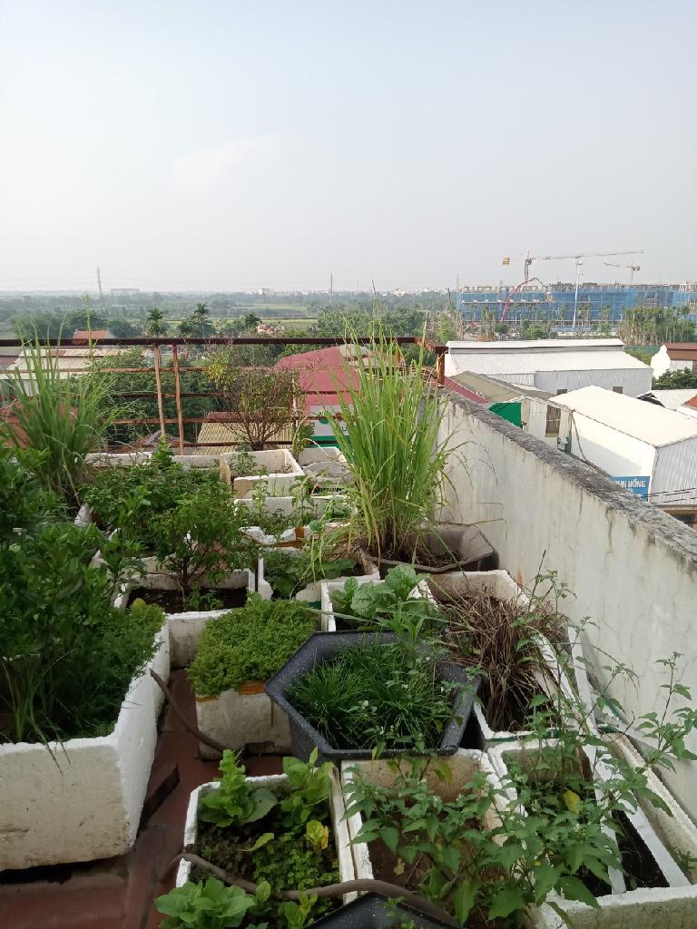 Bán nhà đẹp đến ở luôn hoặc kinh doanh và cho thuê