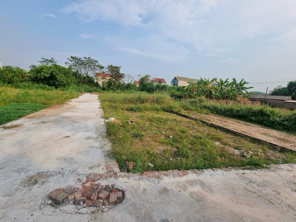 Bán đất