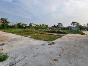 Bán đất