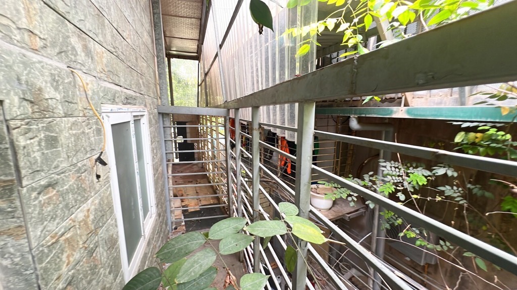 An dương