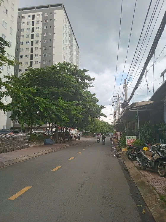 HXH, Cao Đạt, Q5, 5 tầng, 42 m2, Nhỉnh 7 tỷ
