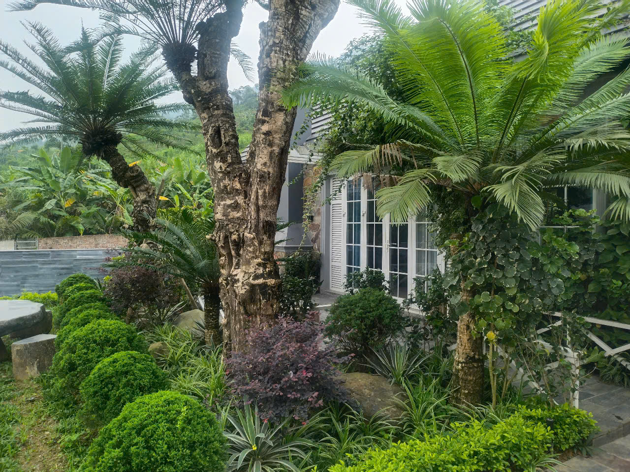 Bán biệt thự nhà vườn nghỉ dưỡng tại Phú Mãn, view suối đẹp - 516m2 - giá chỉ 8.5 tỷ