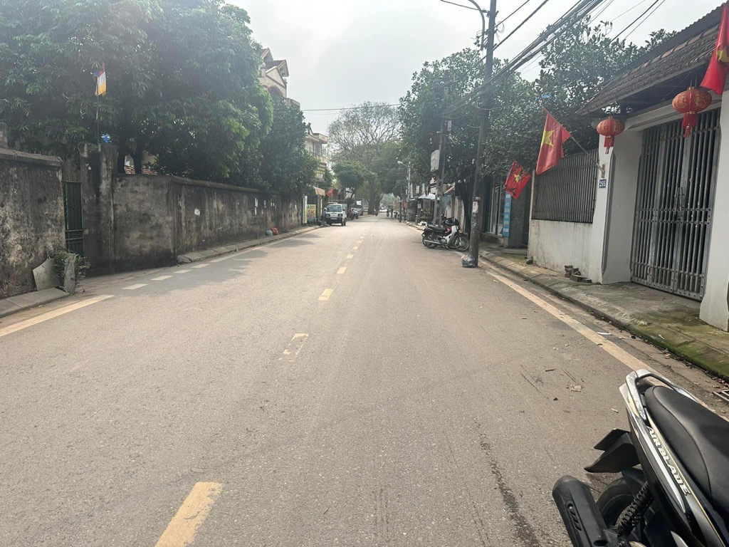 Mặt phố, ô tô tránh, kinh doanh.