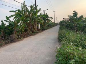 Bán đất Thống Nhất, yên tĩnh, thoáng sáng, 128m2, 4.55 tỉ