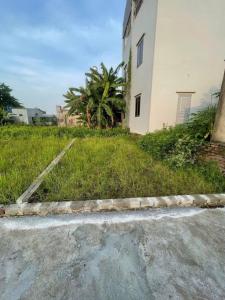Bán đất -sâm động -vân tảo- thường tín
