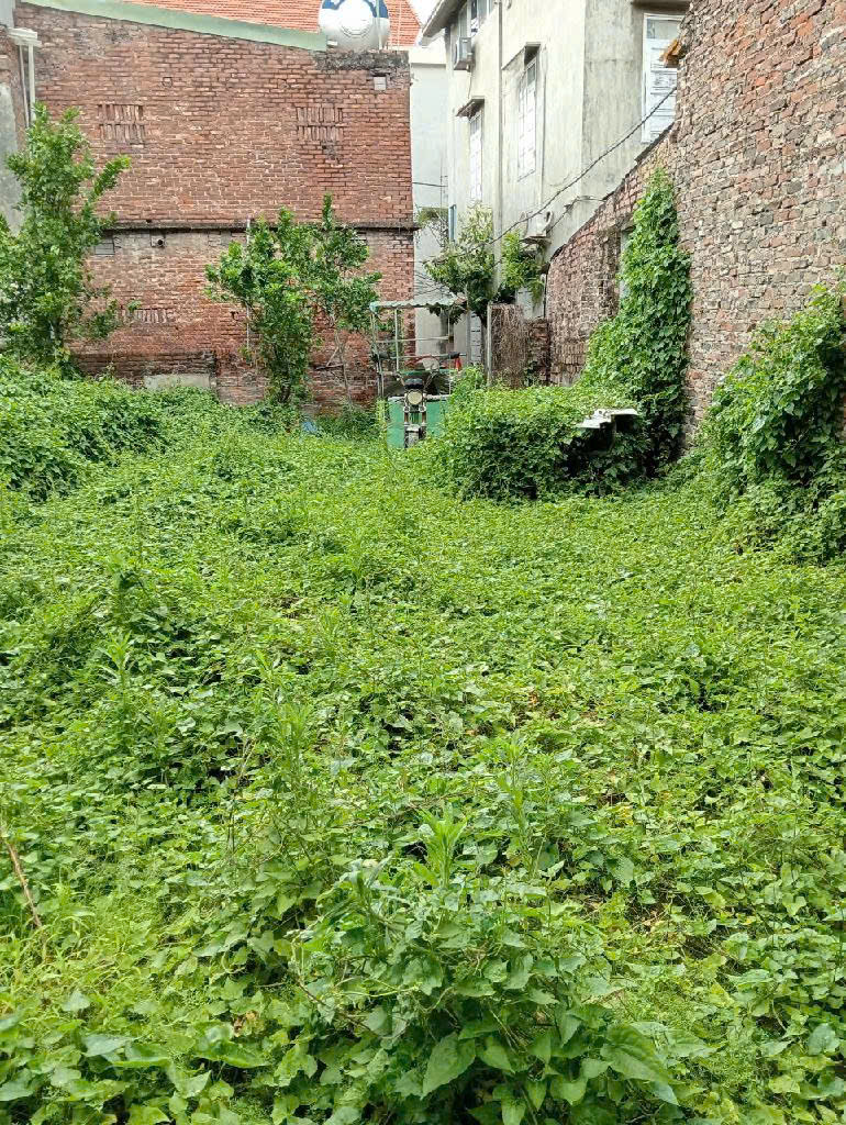 Chính chủ nhờ bán đất Giang Cao, Bát Tràng, 228m, MT 15m, 8,5 tỷ