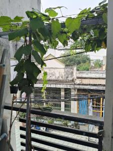 MẶT TIỀN CHỢ THẠNH XUÂN - ĐƯỜNG THÔNG 2 MẶT TRƯỚC SAU - DOANH THU GẦN 30tr