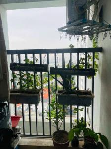 bán nhà tòa trung rice kđt linh đàm giá 4.05 tỷ 57m2