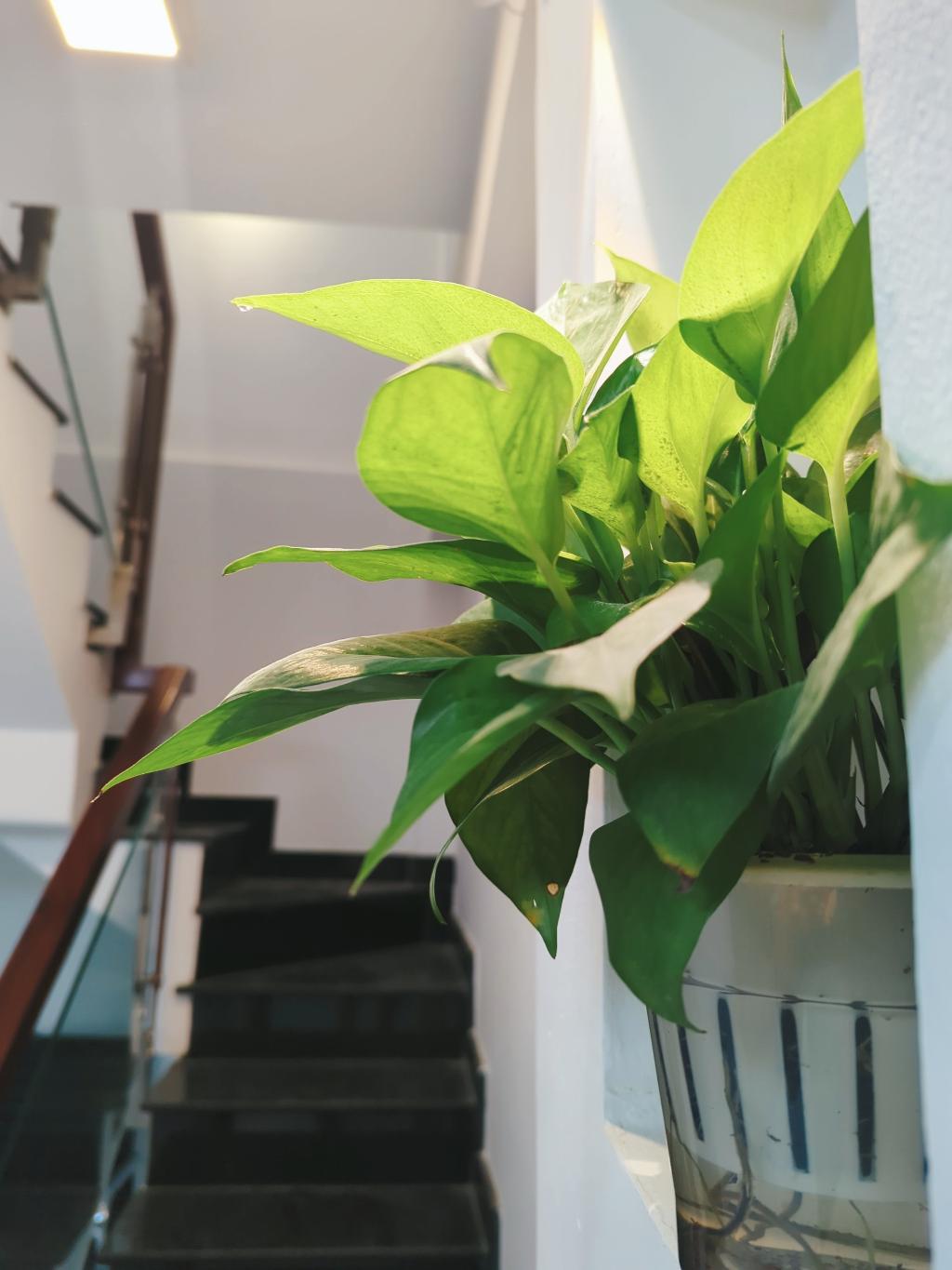 Bán nhà Huỳnh Tấn Phát (liền kề Phú Mỹ Hưng); 30m2; 2PN; sổ hồng