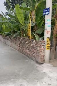 CHỦ CẦN BÁN GẤP ĐẤT XÃ TỰ NHIÊN đường ô tô xe sh tránh vi vu