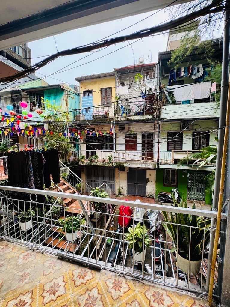 kim mã 5,3 tỷ