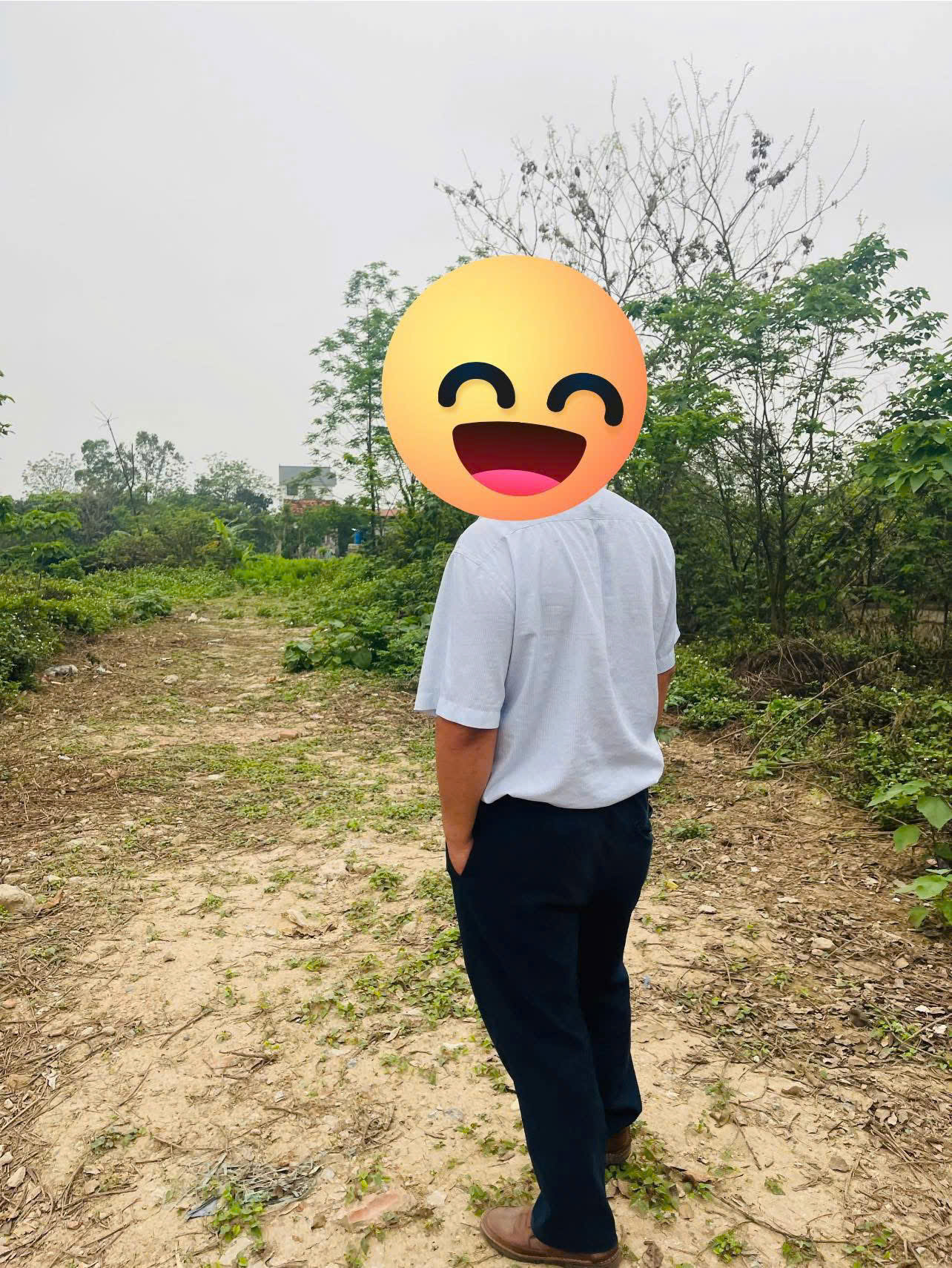 Bán đất Thường Tín, đường ô tô, MT:15m, DT nhỉnh 690m2, 8 triệu/m2