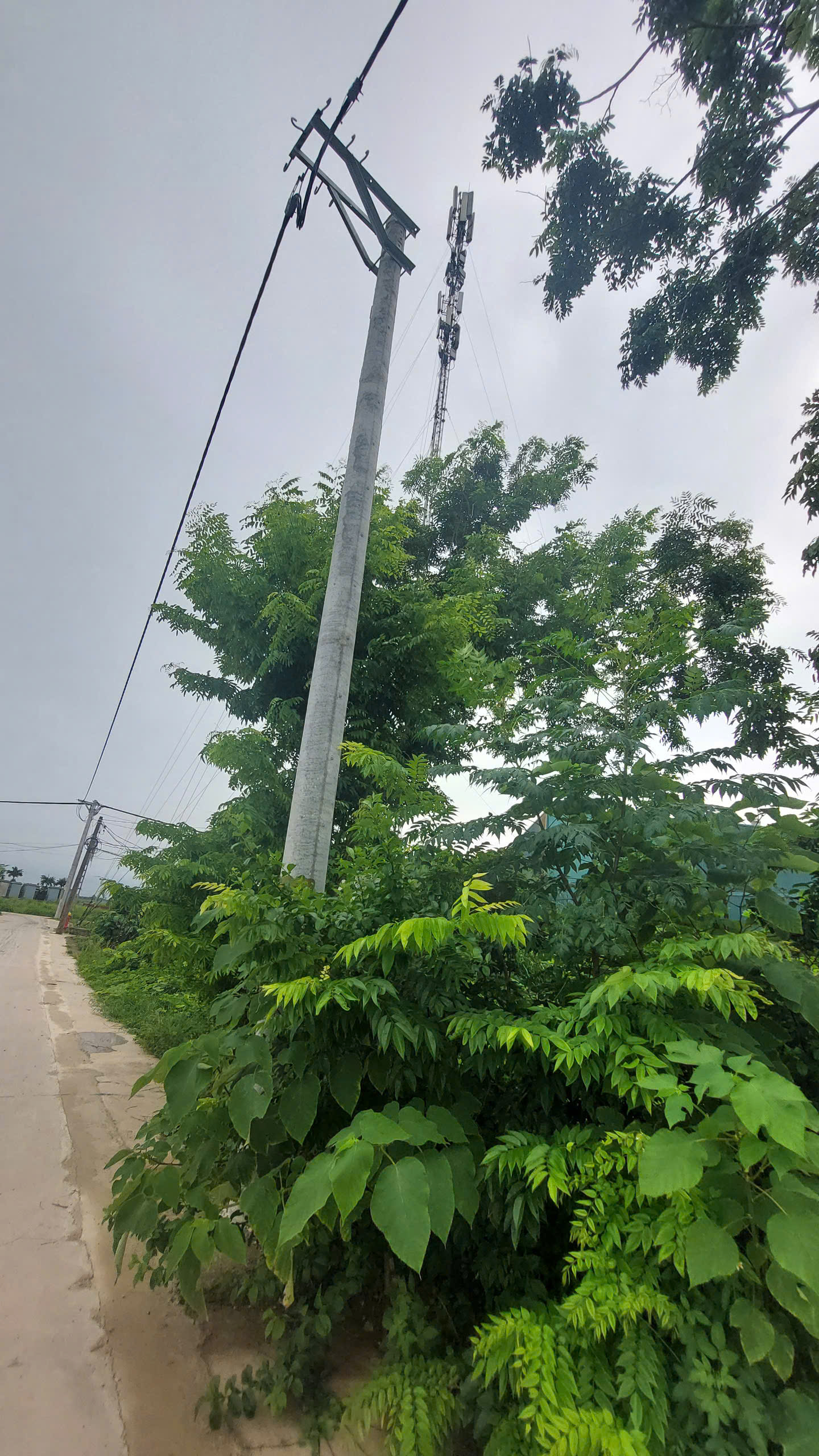 Bán đất Thường Tín, đường ô tô, MT:15m, DT nhỉnh 690m2, 8 triệu/m2