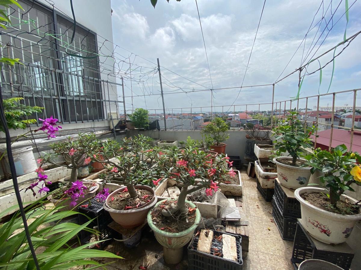 Bán đất tặng nhà Khê Nữ - Nguyên Khê - dt 60m2, giá nhỉnh 5 tỷ, giá đầu tư, ô tô đỗ cửa, tiềm năng tămg giá cao