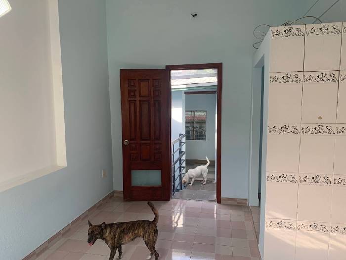 NHÀ HẺM XE HƠI ĐÔNG HƯNG THUẬN SIÊU NGON
