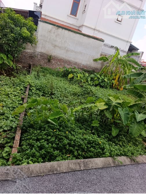 ĐÀO XUYÊN - ĐA TỐN 3T TÍ TI VF3 RA VÀO ĐẤT