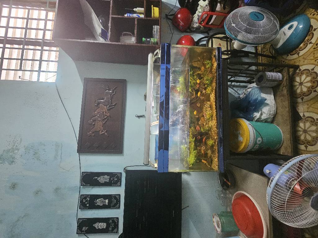 Nhà Đường Lê Văn Sỹ Phú Nhuận  Ngang 4m dài 28m hơn 9 tỷ