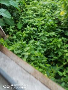 Bán nhà - SIÊU GẤP - CỰC HIẾM - ôtô đỗ cửa