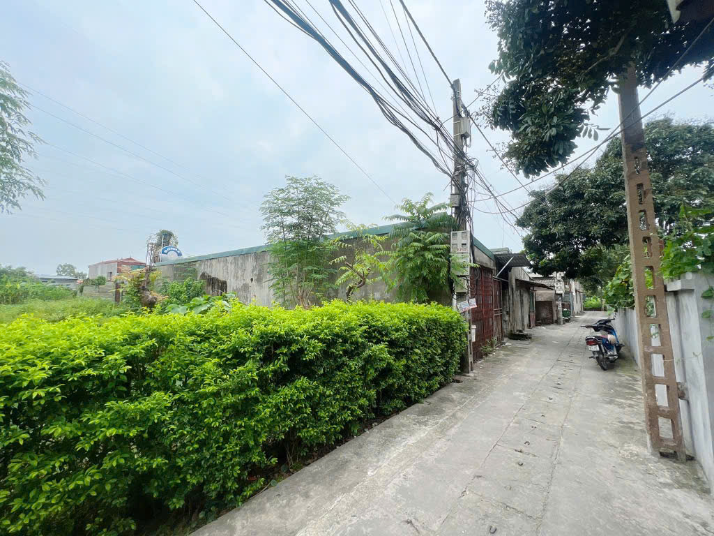 Dãy nhà trọ, dòng tiền ổn định, FULL phòng, sát Phố Xốm, ĐH Đại Nam, 280M*6 Dãy, Bán gấp