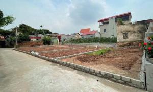 Bán Đất Vàng Phú Nghĩa – Chương Mỹ, Tiện ích miễn chê, MT 6m, 80 m2, 4,7 Tỷ Thương Lượng