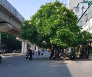 SIÊU HIẾM KHÓ KIẾM ! Bán nhà MẶT PHỐ HÀO NAM chỉ 10 tỷ, vừa ở vừa kinh doanh