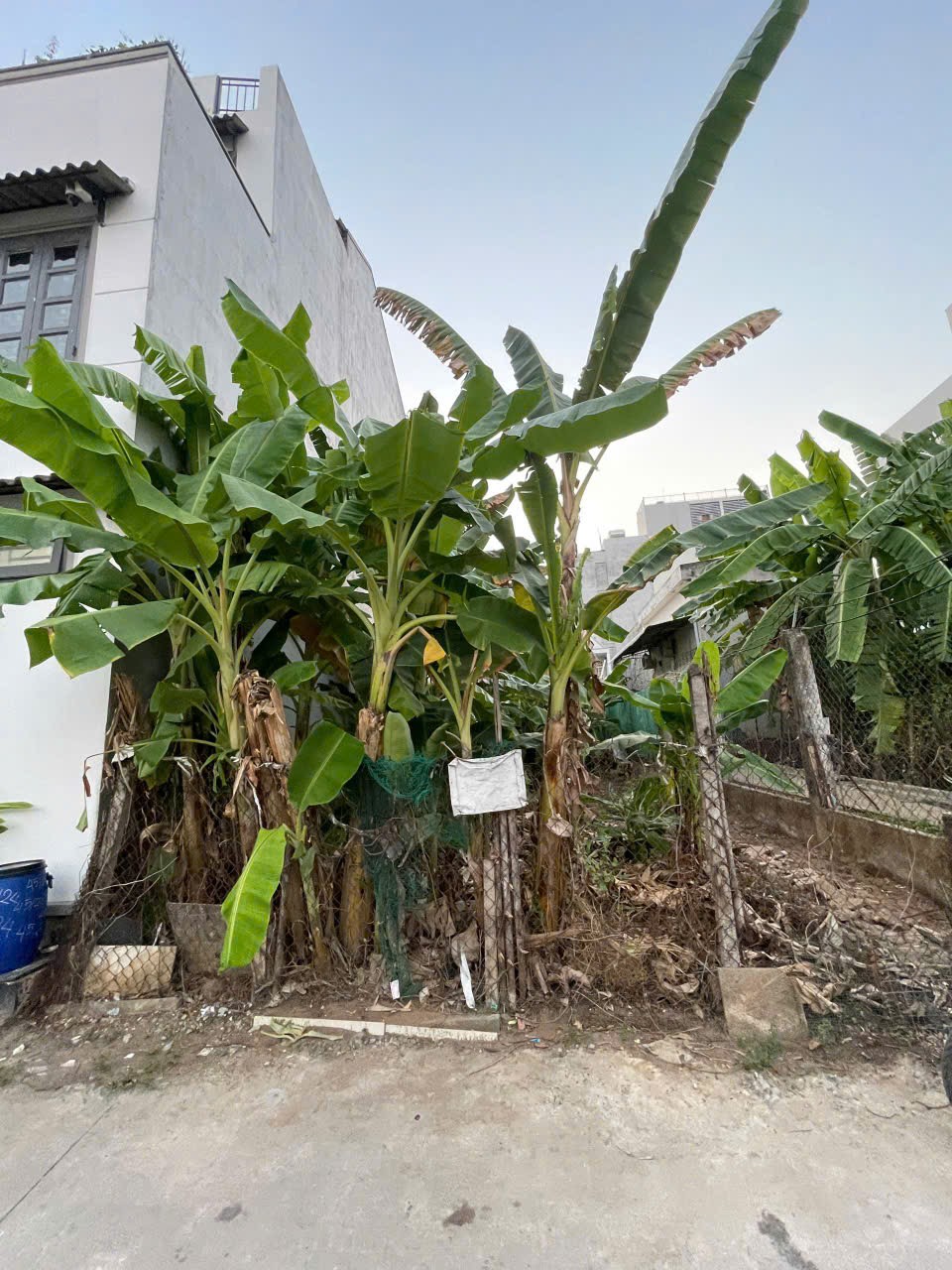 Đất Nền