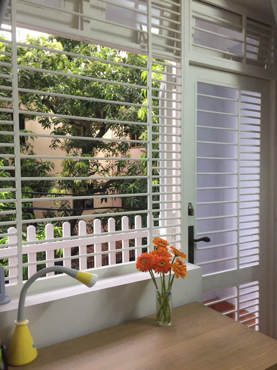 Bán nhà đường Đất Thánh, phường 6, 3.8x15m, 3 tầng, giá 6.5 tỷ TL