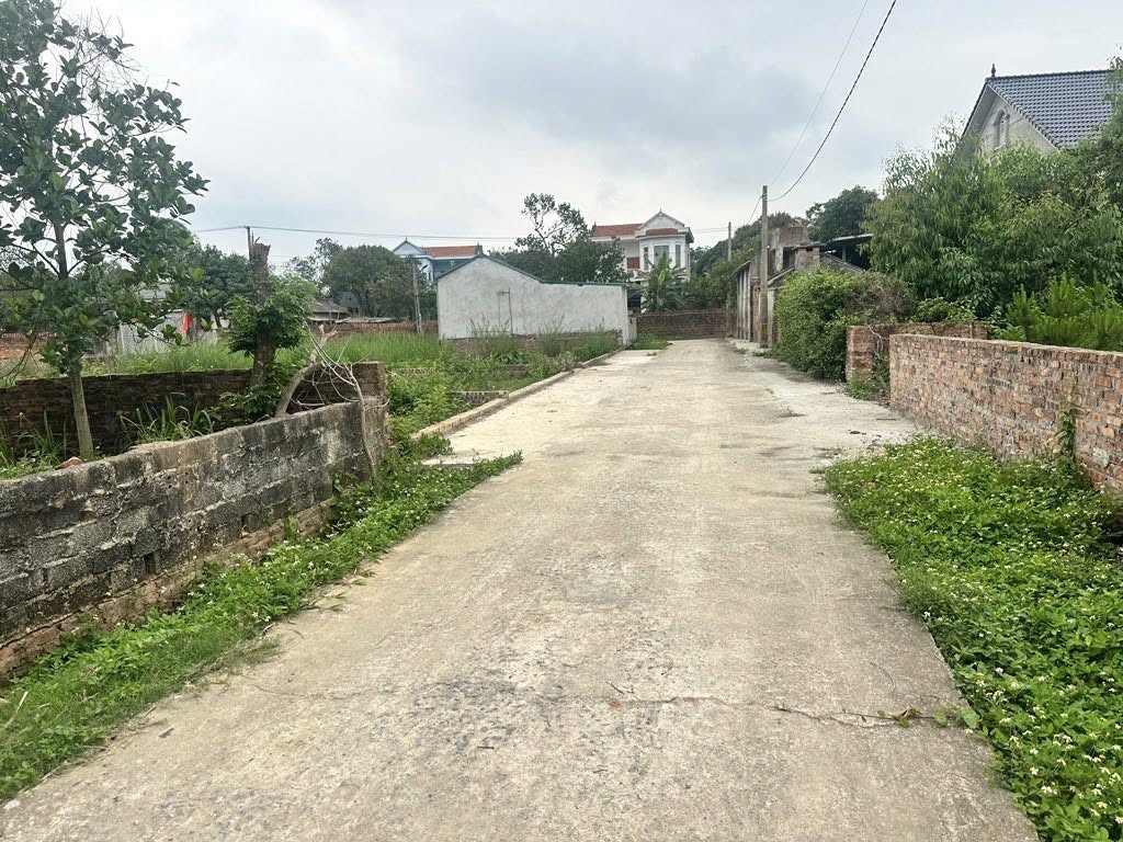 SIÊU PHẨM ĐẤT PHÂN LÔ