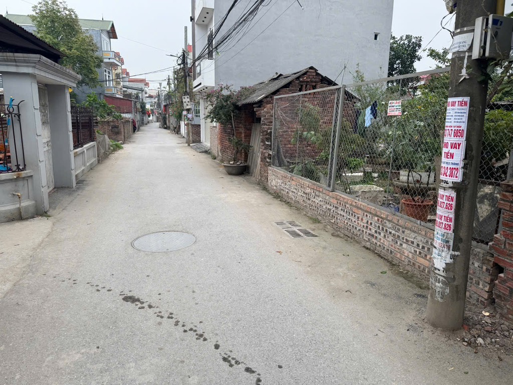 Viên Nội Đông Anh đất đẹp như mơ
