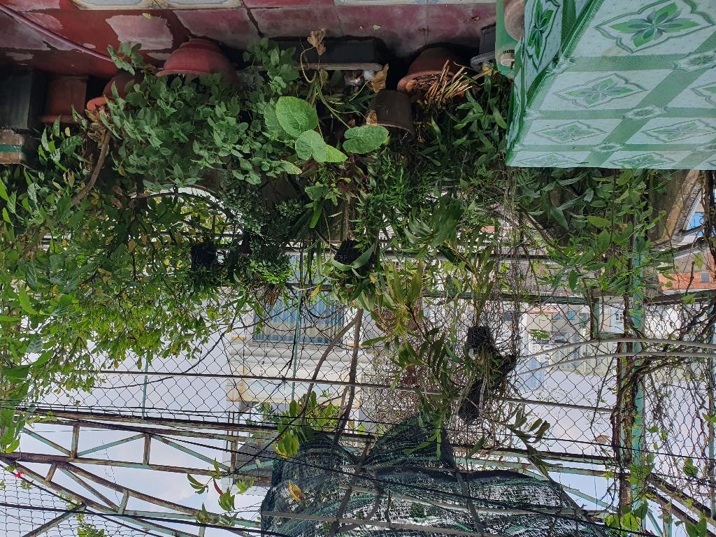 Bán nhà 3 tầng Linh Xuân, Thủ Đức