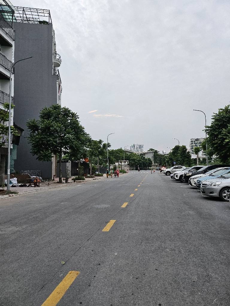 Cực  hot CHDV diện tích siêu hiếm, gà đẻ trứng vàng trung tâm Bồ Đề không có căn thứ 2