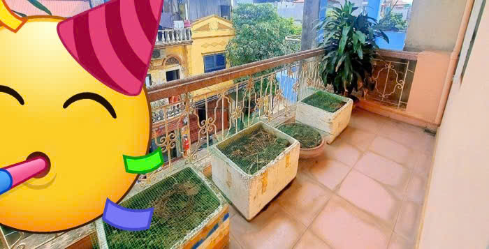 HOA HẬU CÒN XÓT LẠI TRUNG TÂM Q THANH XUÂN, 63M2, MT 4,2M, GIÁ SỐC NHIỆT ĐỘ LUÔN 8,5 TỎI – SẴN SỔ GIAO DỊCH NGAY- QUÁ RẺ CHO MỘT “ CUỘC TÌNH ”