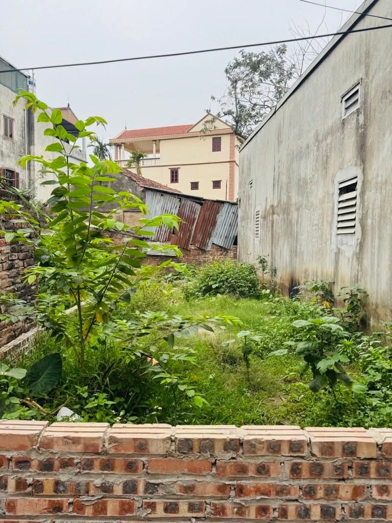 BÁN NHÀ CỰC HIẾM LONG BIÊN