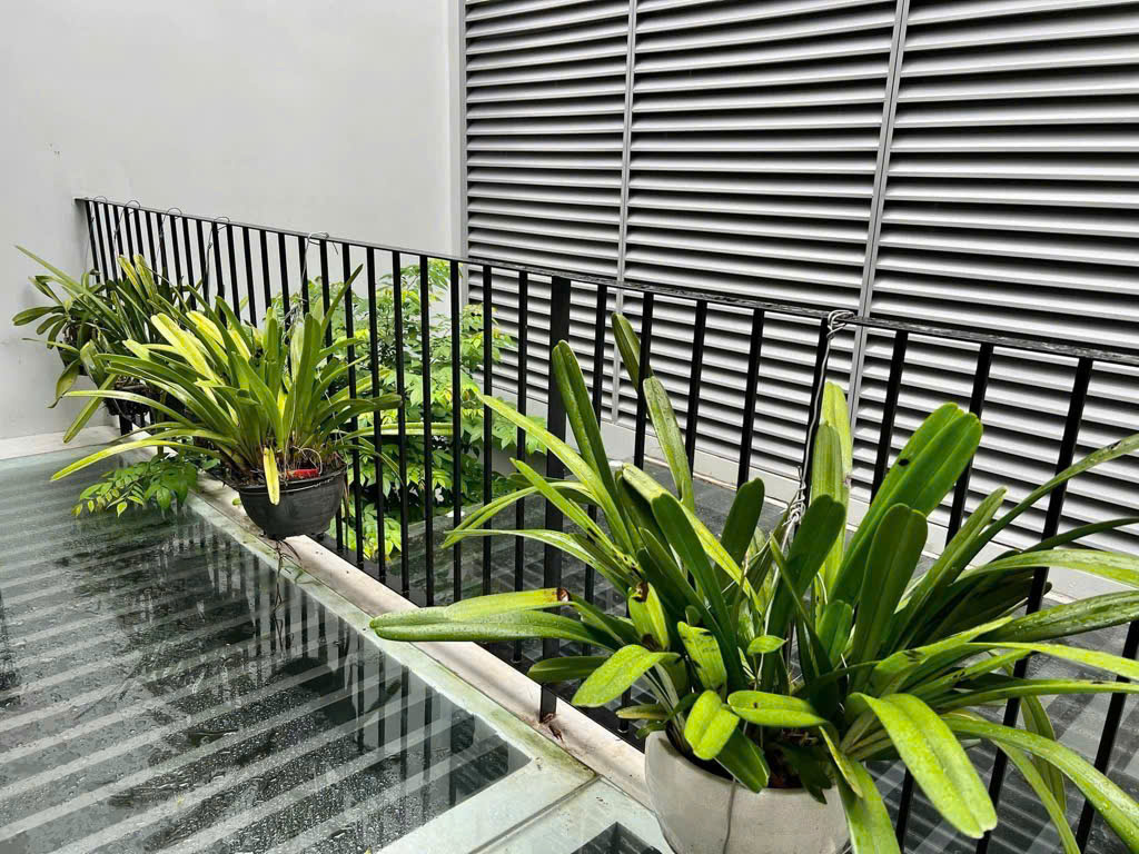 Bán nhà MT đường Nguyễn Hữu Tiến - Tân Phú - 160m2 - 4 tầng -  giá 19 tỷ