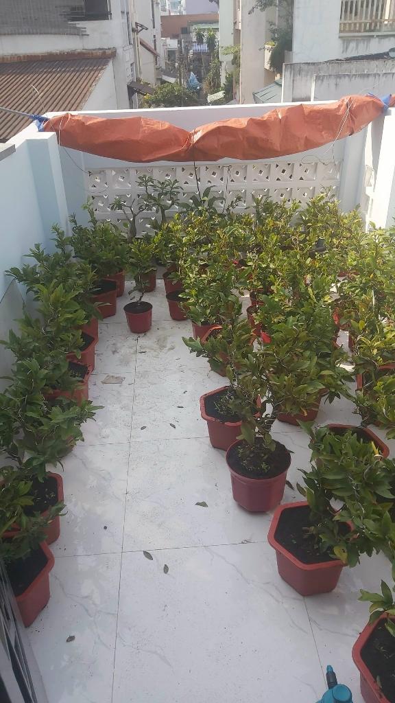 Cần bán gấp nhà hxh